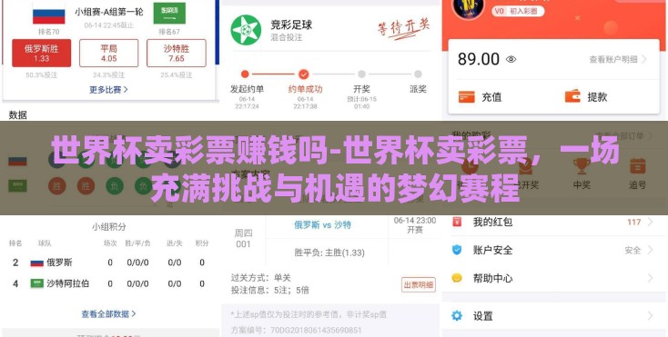 世界杯卖彩票赚钱吗-世界杯卖彩票，一场充满挑战与机遇的梦幻赛程
