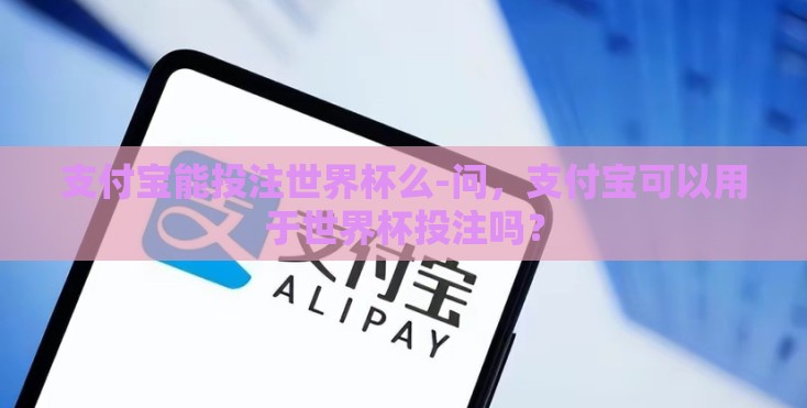 支付宝能投注世界杯么-问，支付宝可以用于世界杯投注吗？