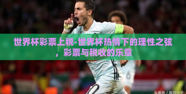 世界杯彩票上税-世界杯热情下的理性之弦，彩票与税收的乐章