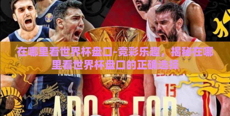 在哪里看世界杯盘口-竞彩乐趣，揭秘在哪里看世界杯盘口的正确选择