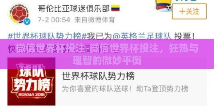 微信世界杯投注-微信世界杯投注，狂热与理智的微妙平衡