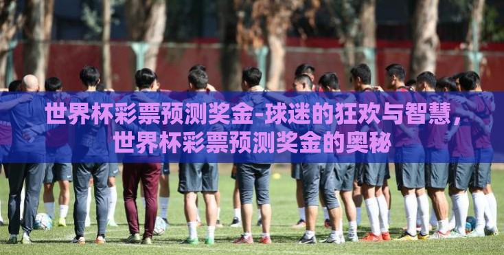世界杯彩票预测奖金-球迷的狂欢与智慧，世界杯彩票预测奖金的奥秘