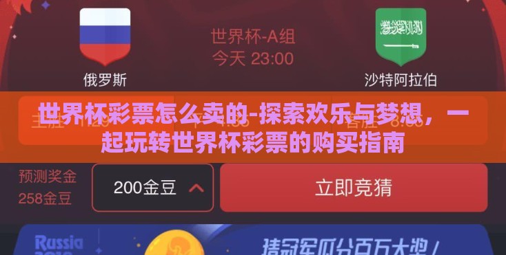 世界杯彩票怎么卖的-探索欢乐与梦想，一起玩转世界杯彩票的购买指南