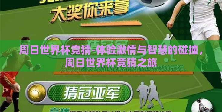 周日世界杯竞猜-体验激情与智慧的碰撞，周日世界杯竞猜之旅
