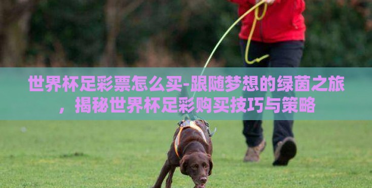 世界杯足彩票怎么买-跟随梦想的绿茵之旅，揭秘世界杯足彩购买技巧与策略