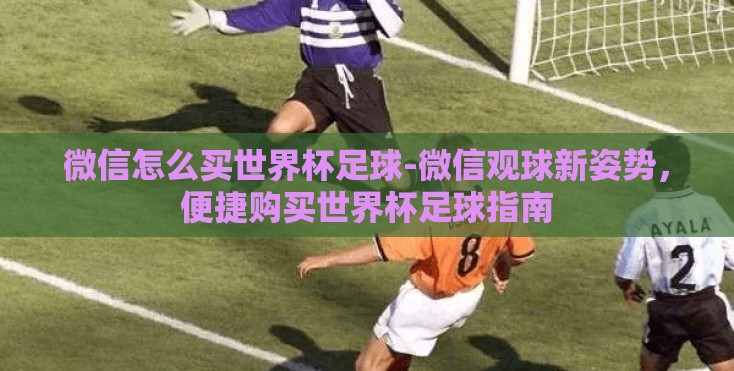 微信怎么买世界杯足球-微信观球新姿势，便捷购买世界杯足球指南