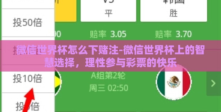 微信世界杯怎么下赌注-微信世界杯上的智慧选择，理性参与彩票的快乐