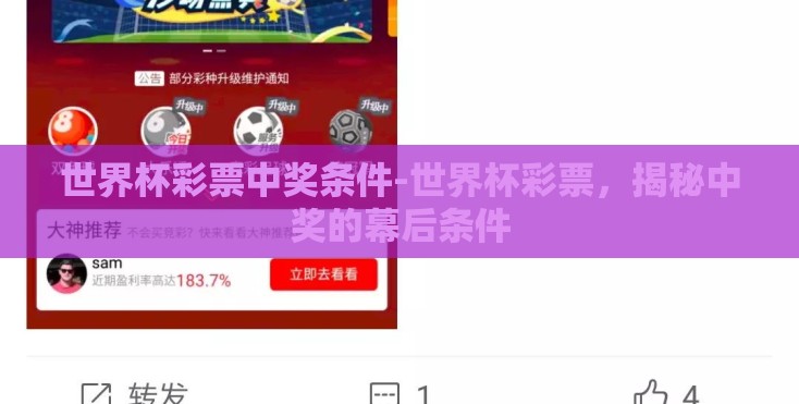 世界杯彩票中奖条件-世界杯彩票，揭秘中奖的幕后条件