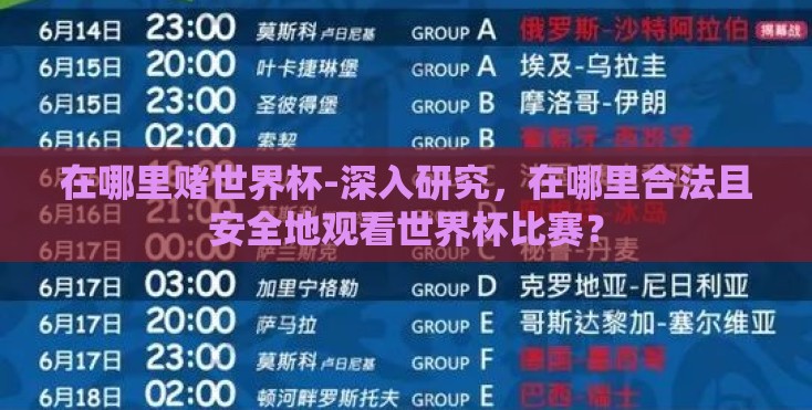 在哪里赌世界杯-深入研究，在哪里合法且安全地观看世界杯比赛？