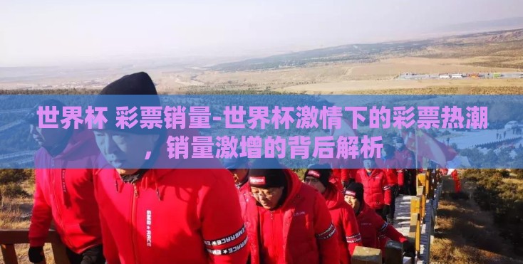 世界杯 彩票销量-世界杯激情下的彩票热潮，销量激增的背后解析