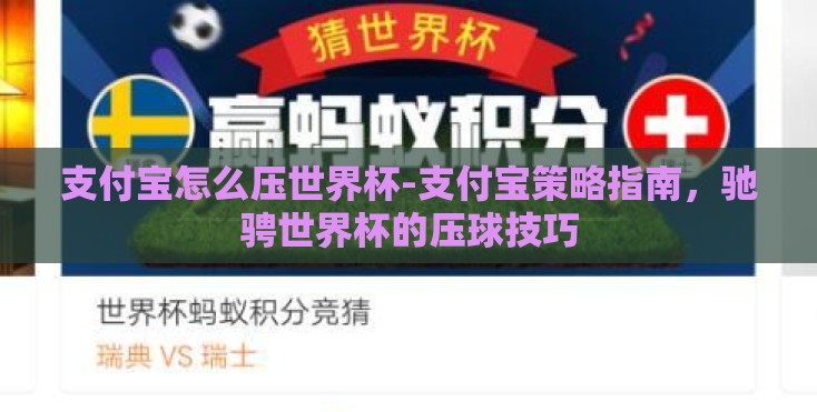 支付宝怎么压世界杯-支付宝策略指南，驰骋世界杯的压球技巧