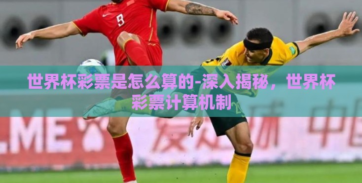 世界杯彩票是怎么算的-深入揭秘，世界杯彩票计算机制