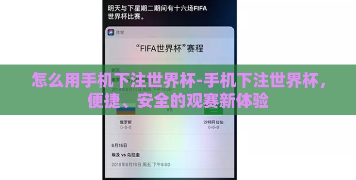 怎么用手机下注世界杯-手机下注世界杯，便捷、安全的观赛新体验