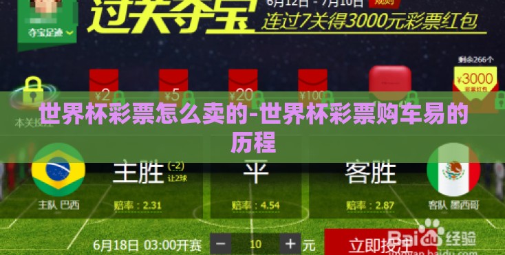 世界杯彩票怎么卖的-世界杯彩票购车易的历程