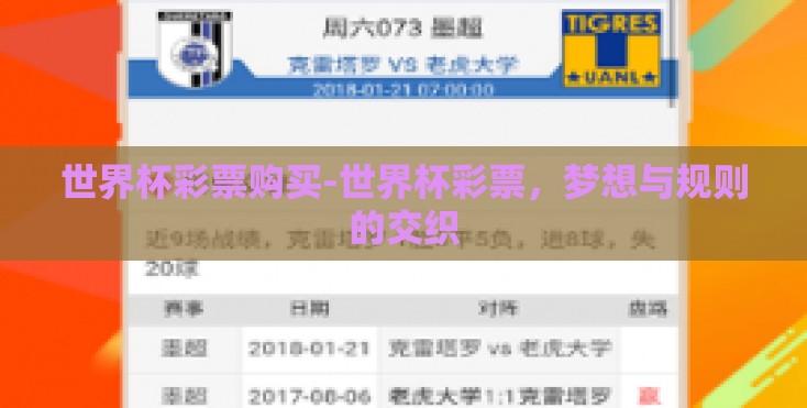 世界杯彩票购买-世界杯彩票，梦想与规则的交织