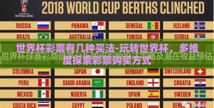 世界杯彩票有几种买法-玩转世界杯，多维度探索彩票购买方式