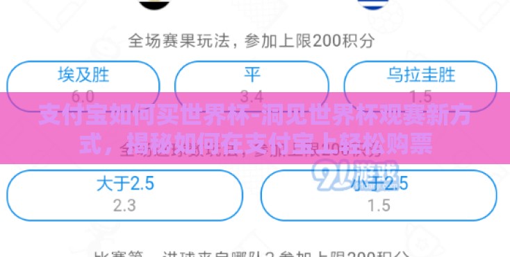 支付宝如何买世界杯-洞见世界杯观赛新方式，揭秘如何在支付宝上轻松购票