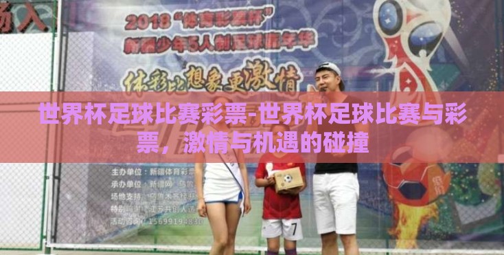 世界杯足球比赛彩票-世界杯足球比赛与彩票，激情与机遇的碰撞