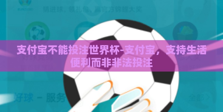 支付宝不能投注世界杯-支付宝，支持生活便利而非非法投注