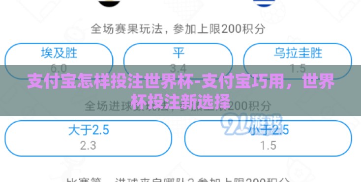 支付宝怎样投注世界杯-支付宝巧用，世界杯投注新选择