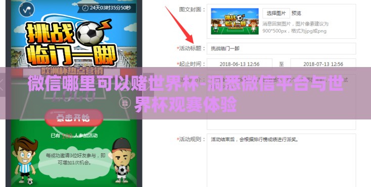微信哪里可以赌世界杯-洞悉微信平台与世界杯观赛体验