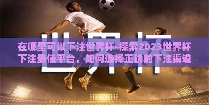 在哪里可以下注世界杯-探索2023世界杯下注最佳平台，如何选择正确的下注渠道