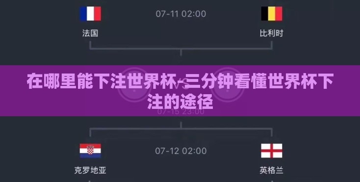 在哪里能下注世界杯-三分钟看懂世界杯下注的途径