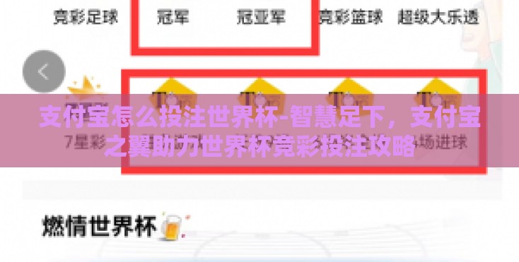 支付宝怎么投注世界杯-智慧足下，支付宝之翼助力世界杯竞彩投注攻略
