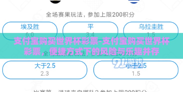 支付宝购买世界杯彩票-支付宝购买世界杯彩票,便捷方式下的风险与乐趣并存 支付宝购买世界杯彩票-支付宝购买世界杯彩票,便捷方式下的风险与乐趣并存